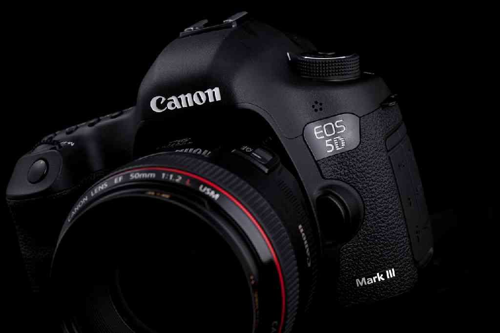 Canon EOS 5D Mark III, veloce e sensibile