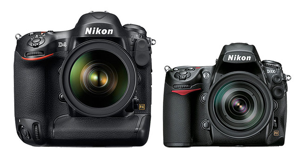 Sfida in casa Nikon: D4 vs D800