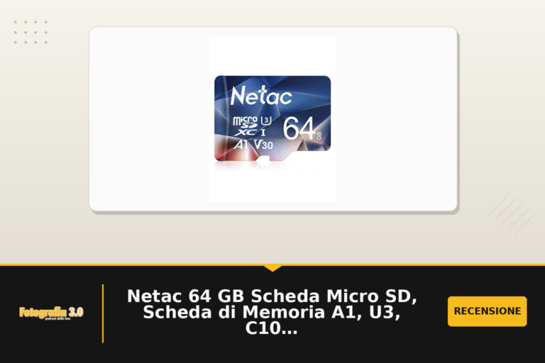 Netac 64 GB Scheda Micro SD, Scheda di Memoria A1, U3, C10, V30, 4K, 667X, UHS-I Velocità fino a 100/30 MB/sec(R/W) Micro SD Card per Telefono, Videocamera, Switch, Tablet