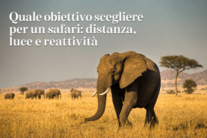 Quale obiettivo scegliere per un safari: distanza, luce e reattività
